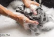 آموزش شستن پرده با صابون
