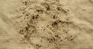 پوسیدن پارچه چه نوع تغییر شیمیایی است؟ (کوتاه مختصر)